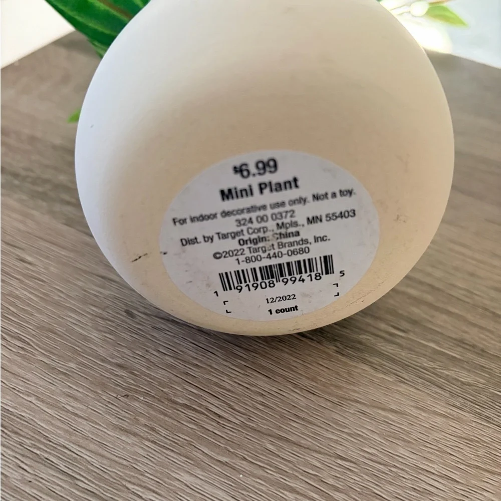 Faux Tabletop Green Plant in Beige Ceramic Pot